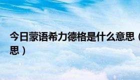 今日蒙语希力德格是什么意思（蒙语宝音德力格尔是什么意思）