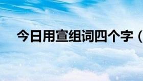 今日用宣组词四个字（用宣组六个词语）