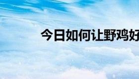 今日如何让野鸡好吃又有营养？