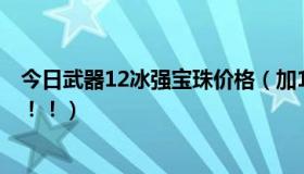 今日武器12冰强宝珠价格（加12的寒冰光剑值多少钱！！！！！）