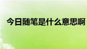 今日随笔是什么意思啊（SBS什么意思么）