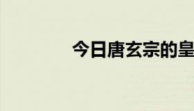 今日唐玄宗的皇后共有几位