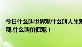 今日什么叫世界观什么叫人生观什么叫价值观（什么叫世界观,什么叫价值观）