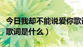 今日我却不能说爱你歌词（不能说爱你的中文歌词是什么）