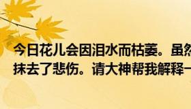 今日花儿会因泪水而枯萎。虽然它们很美，但时间已经悄悄抹去了悲伤。请大神帮我解释一下是什么意思。花指人。