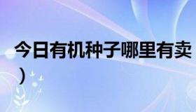 今日有机种子哪里有卖（有机种子什么时候收）