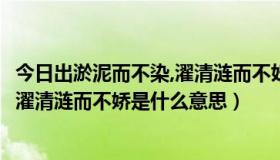 今日出淤泥而不染,濯清涟而不妖什么意思?（出淤泥而不染，濯清涟而不娇是什么意思）