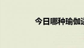 今日哪种瑜伽适合初学者