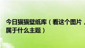 今日猫猫壁纸库（看这个图片，在“猫猫壁纸酷”的网站里属于什么主题）