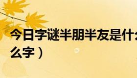 今日字谜半朋半友是什么字（半朋半友是个什么字）