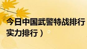 今日中国武警特战排行（求中国武警特警部队实力排行）