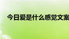 今日爱是什么感觉文案（爱 是什么感觉）