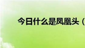 今日什么是凤凰头（什么是凤凰男）