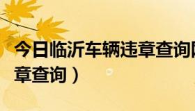 今日临沂车辆违章查询网上查询（临沂车辆违章查询）