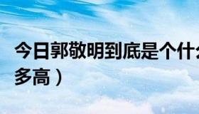 今日郭敬明到底是个什么东西（郭敬明到底有多高）