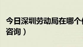 今日深圳劳动局在哪个位置（深圳劳动局在线咨询）