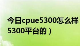 今日cpue5300怎么样（求主流主板…IntelE5300平台的）