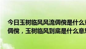 今日玉树临风风流倜傥是什么意思?（请问英俊潇洒，风流倜傥，玉树临风到底是什么意思）