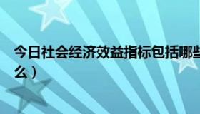 今日社会经济效益指标包括哪些（社会经济效益指标包括什么）