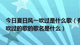 今日夏日风一吹过是什么歌（有一句歌词为夏天的风轻轻的吹过的歌的歌名是什么）