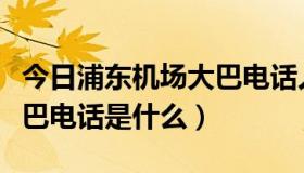 今日浦东机场大巴电话人工问询（浦东机场大巴电话是什么）