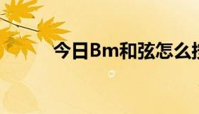 今日Bm和弦怎么按最好是图片！