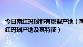 今日南红玛瑙都有哪些产地（南红玛瑙产地有哪些哪里好 南红玛瑙产地及其特征）