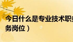 今日什么是专业技术职务（什么是专业技术职务岗位）