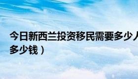 今日新西兰投资移民需要多少人民币（新西兰投资移民需要多少钱）