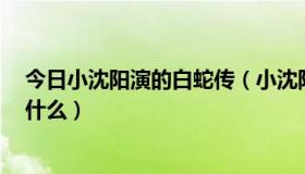 今日小沈阳演的白蛇传（小沈阳 新白蛇传 里最后唱的歌是什么）