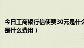 今日工商银行信使费30元是什么意思（工商银行信使费30元是什么费用）