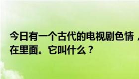 今日有一个古代的电视剧色情，像武则天什么的，有徐锦江在里面。它叫什么？