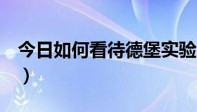 今日如何看待德堡实验室（如何看待美与丑！）