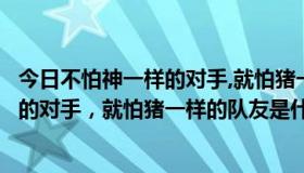 今日不怕神一样的对手,就怕猪一样的队友出自（不怕神一样的对手，就怕猪一样的队友是什么意思）