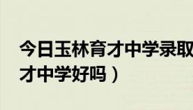 今日玉林育才中学录取分数线2020（玉林育才中学好吗）