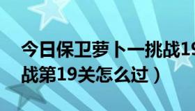 今日保卫萝卜一挑战19关（手机保卫萝卜挑战第19关怎么过）