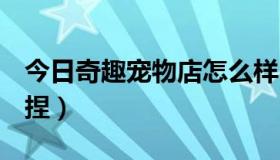 今日奇趣宠物店怎么样（QQ宠物蛋怎么送人捏）