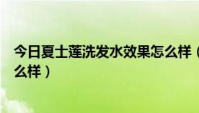 今日夏士莲洗发水效果怎么样（你们觉得夏士莲的洗发水怎么样）