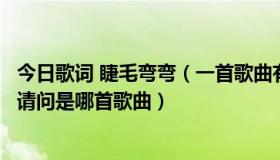 今日歌词 睫毛弯弯（一首歌曲有睫毛什么的，不是睫毛弯弯请问是哪首歌曲）