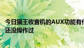 今日猫王收音机的AUX功能有什么用啊，猫王小王子买回来还没操作过