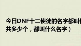 今日DNF十二使徒的名字都叫什么（dnf使徒都有哪几个一共多少个，都叫什么名字）