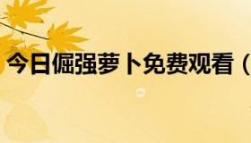 今日倔强萝卜免费观看（倔强萝卜有下载没）