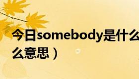 今日somebody是什么意思（no body 是什么意思）