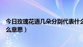 今日玫瑰花语几朵分别代表什么（玫瑰花语几朵分别代表什么意思）