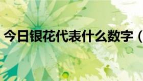 今日银花代表什么数字（银花代表什么生肖）