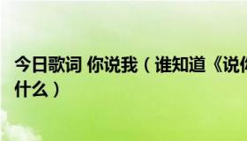 今日歌词 你说我（谁知道《说你、说我》歌曲的中文歌词是什么）