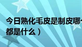 今日熟化毛皮是制皮哪个分支做（制皮的分支都是什么）