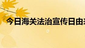 今日海关法治宣传日由来（海关法是什么）