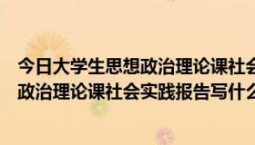 今日大学生思想政治理论课社会实践调查报告（大学的思想政治理论课社会实践报告写什么内容比较好）