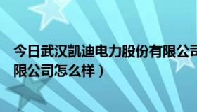 今日武汉凯迪电力股份有限公司股票（武汉凯迪电力股份有限公司怎么样）